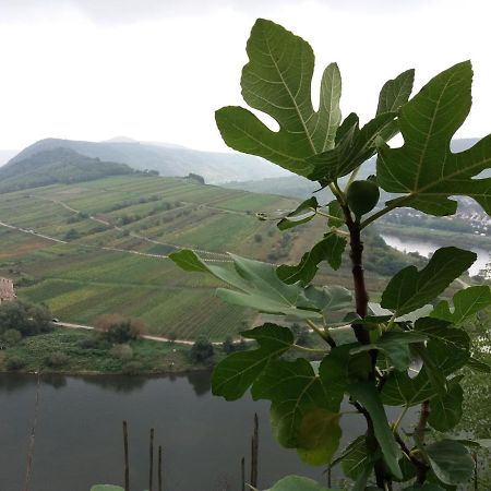 Vila Anna'S Haeuschen Bremm Exteriér fotografie
