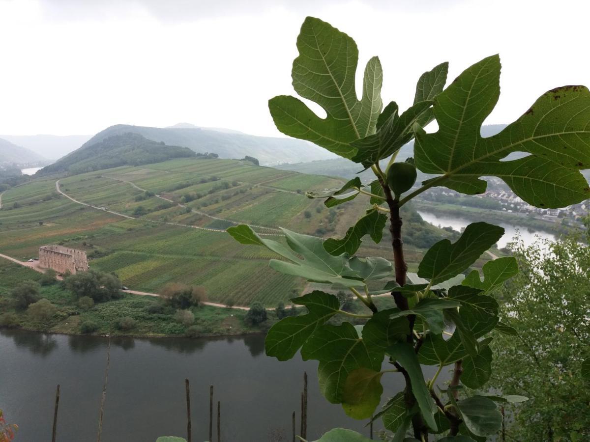 Vila Anna'S Haeuschen Bremm Exteriér fotografie